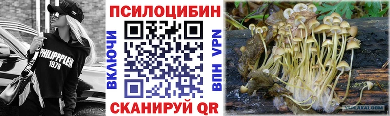 kraken как зайти  Петушки  Галлюциногенные грибы прущие грибы 